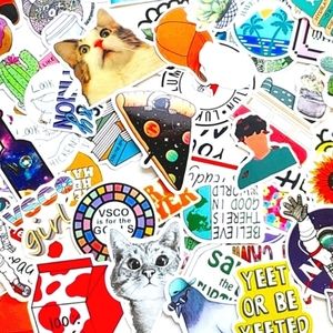 Sticker lot 100+ high quality assorted NASA Cactus Cat Yeet Sloth Mental Health